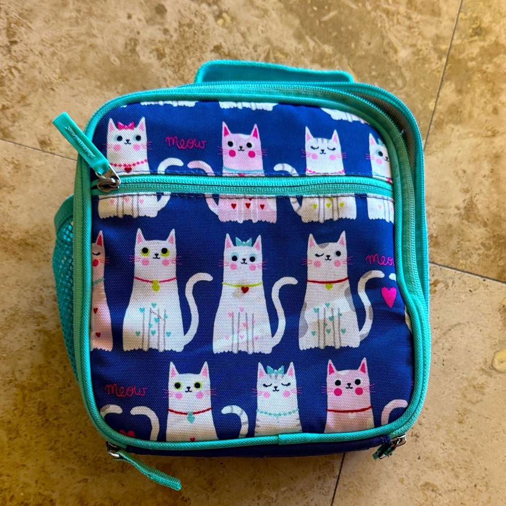 Cute Pottery Bran Cat Print Lunch Bag - Blue and Pink